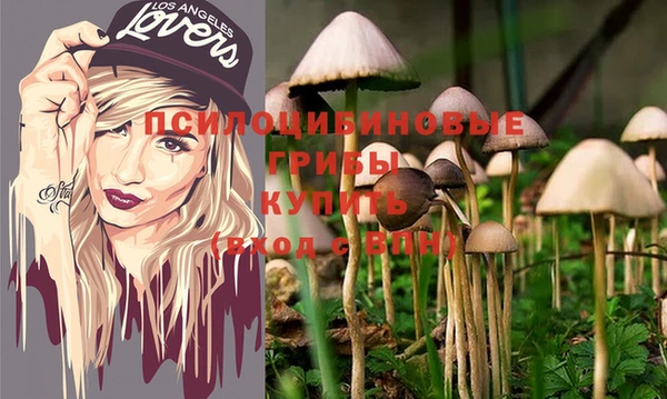 эйфоретик Абаза