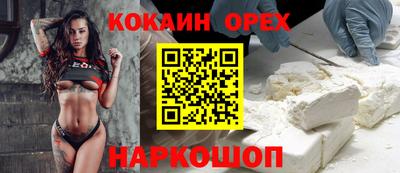 дживик Кандалакша