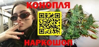 молекула духа Камышлов