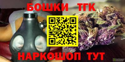молекула духа Камышлов
