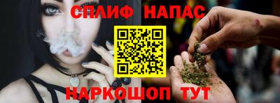 молекула духа Камышлов