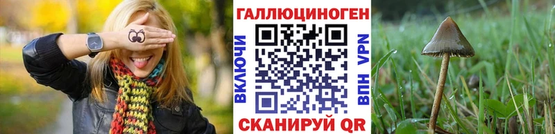 дарк нет клад Хасавюрт Галлюциногенные грибы MAGIC MUSHROOMS