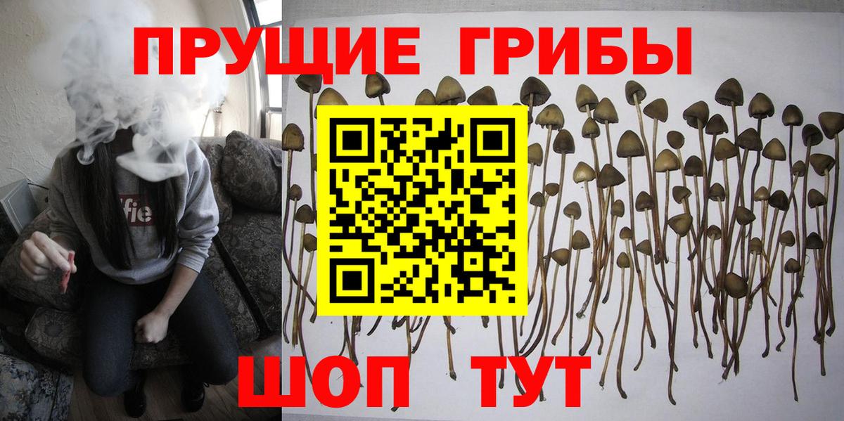 Хасавюрт  Псилоцибиновые грибы Magic Shrooms  Вход с VPN  Псилоцибиновые грибы ЛСД 